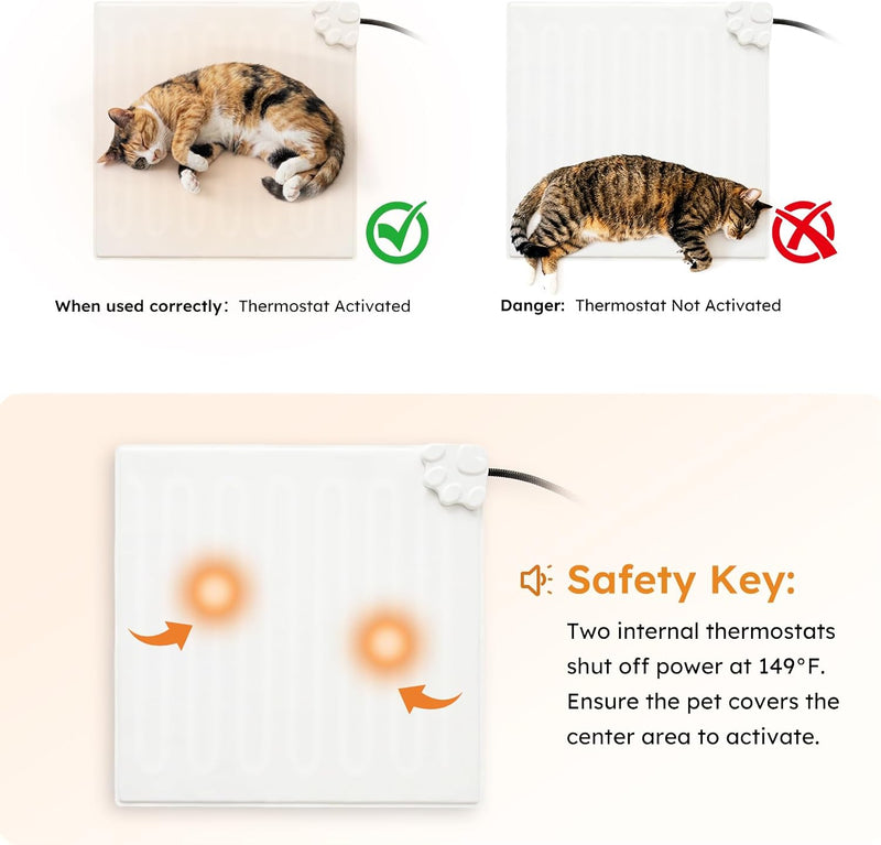 Why Your Cat Will Love It